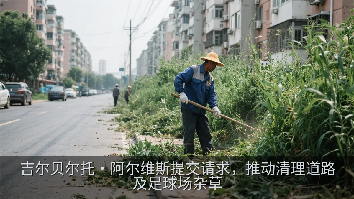 吉尔贝尔托·阿尔维斯提交请求，推动清理道路及足球场杂草